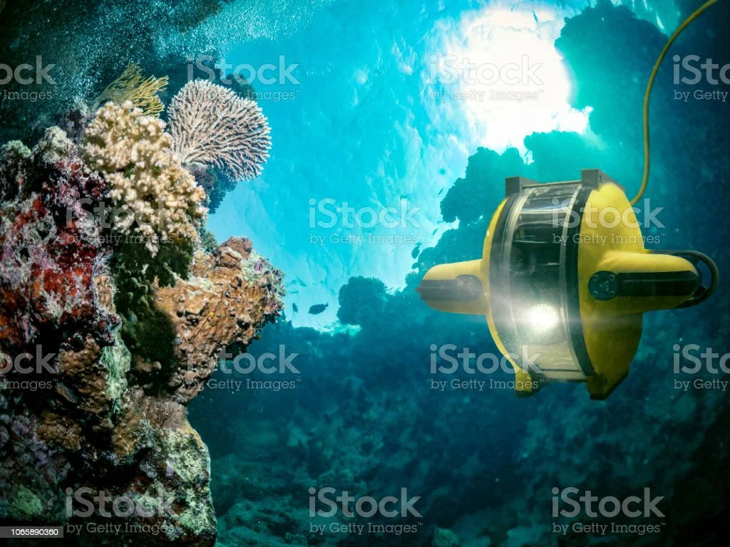 해양 과학 기술
