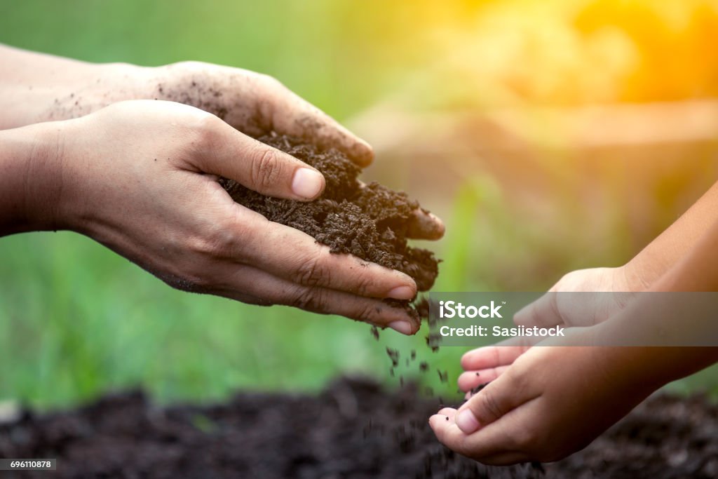 토양 생태학